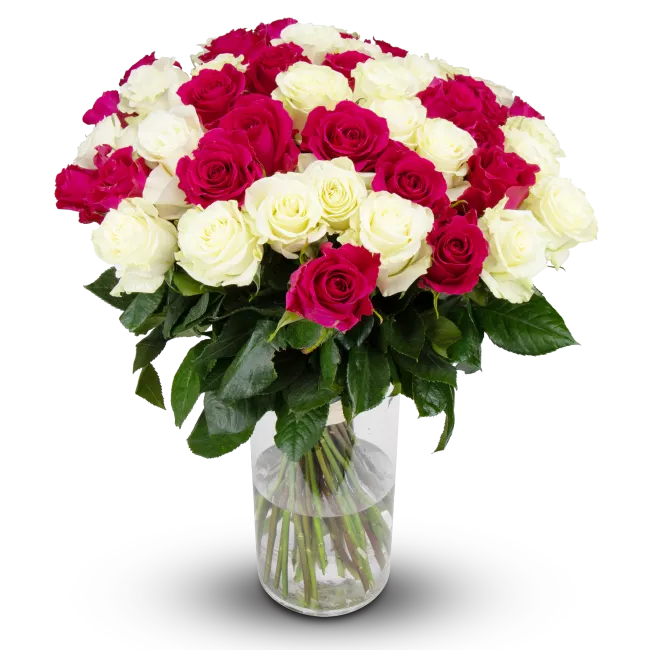 Flowers of ecuadorian roses